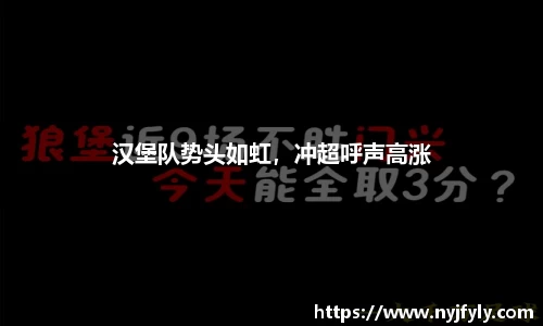 汉堡队势头如虹，冲超呼声高涨